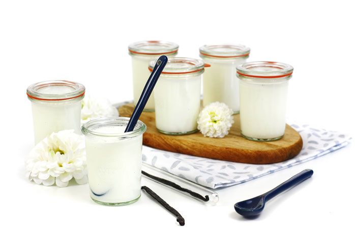 propiedades del yogur