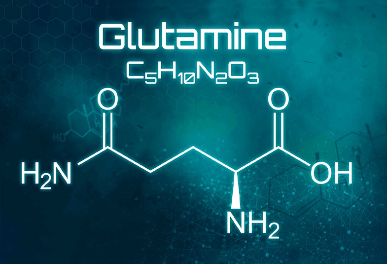 Glutamina