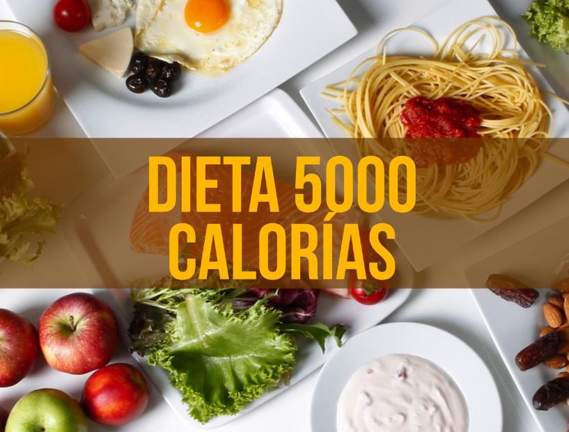 dieta 5000 calorias