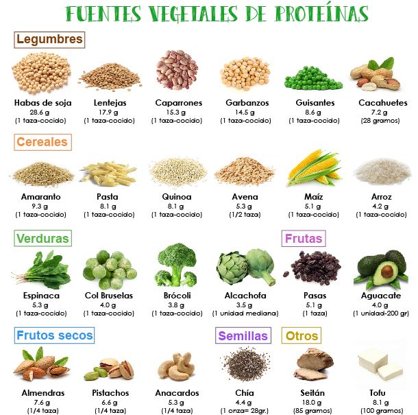 fuentes vegetales de proteinas