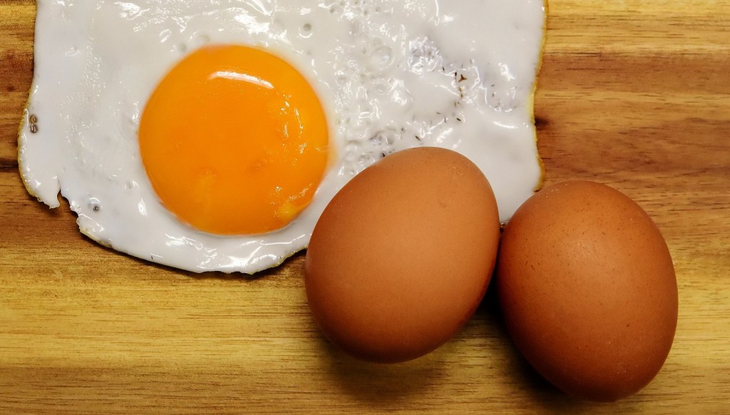 composición del huevo